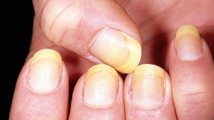 New best parada wave