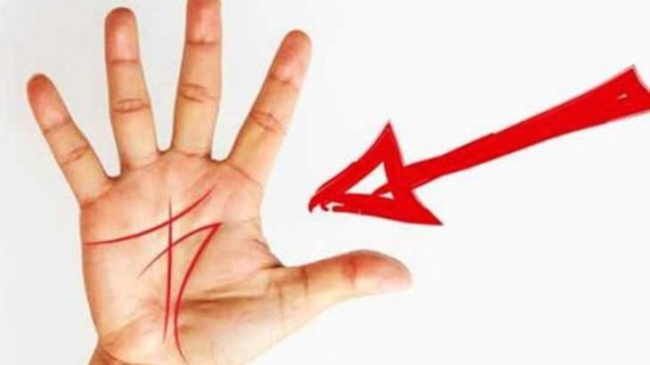 New best parada wave