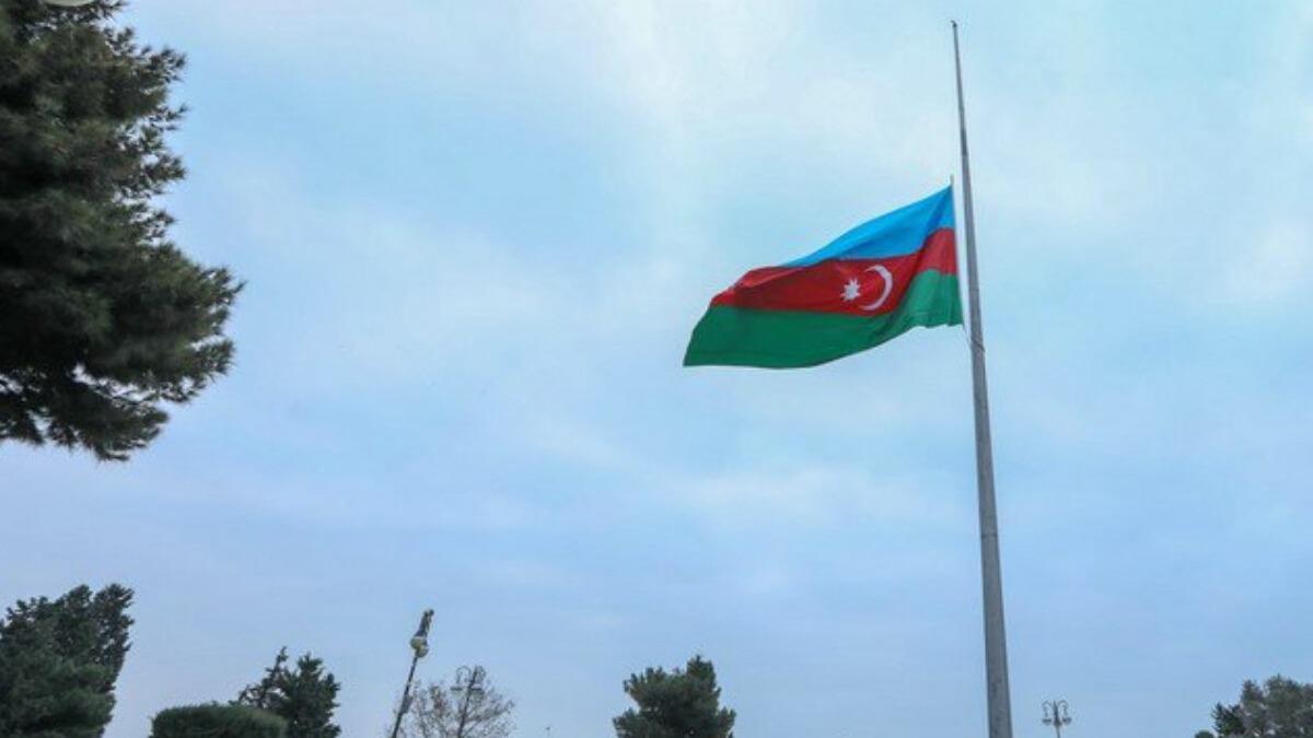 New best parada wave