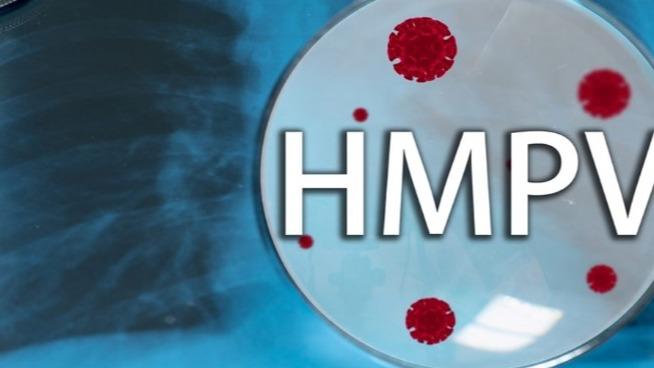 New best parada wave