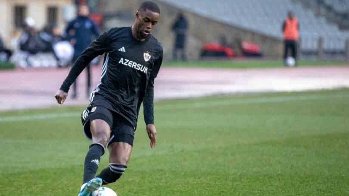 New best parada wave