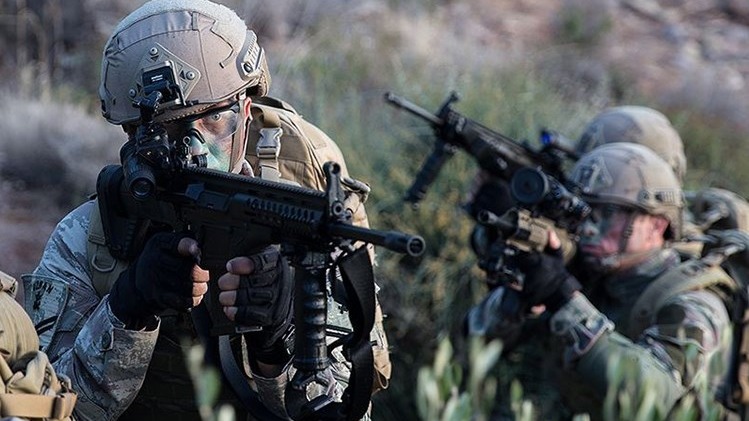 New best parada wave