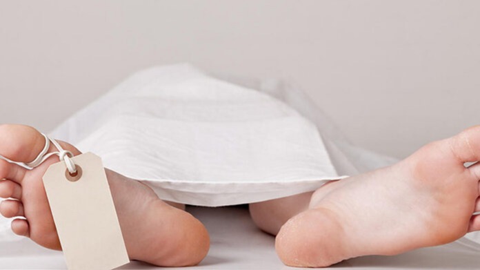 New best parada wave