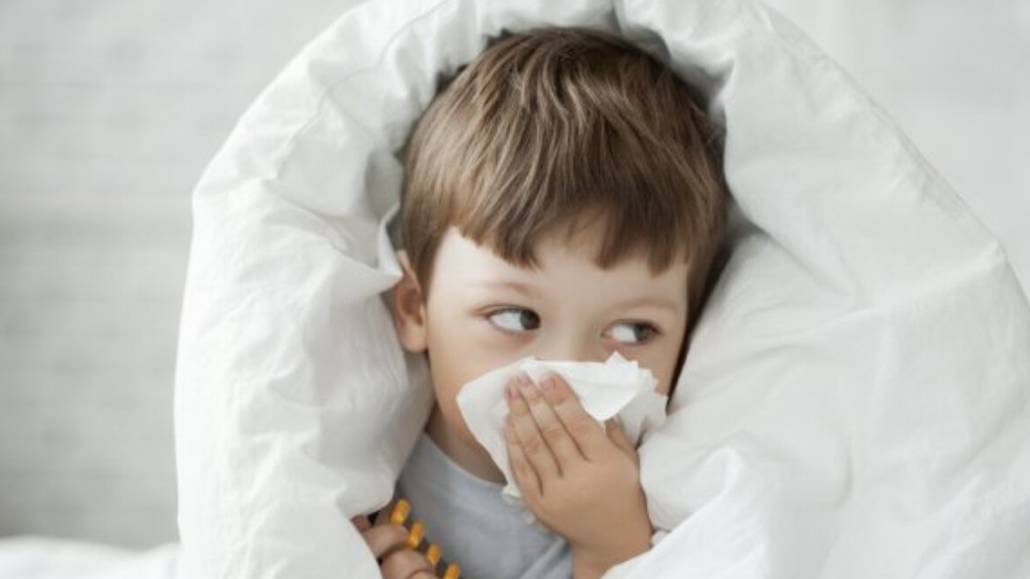 New best parada wave