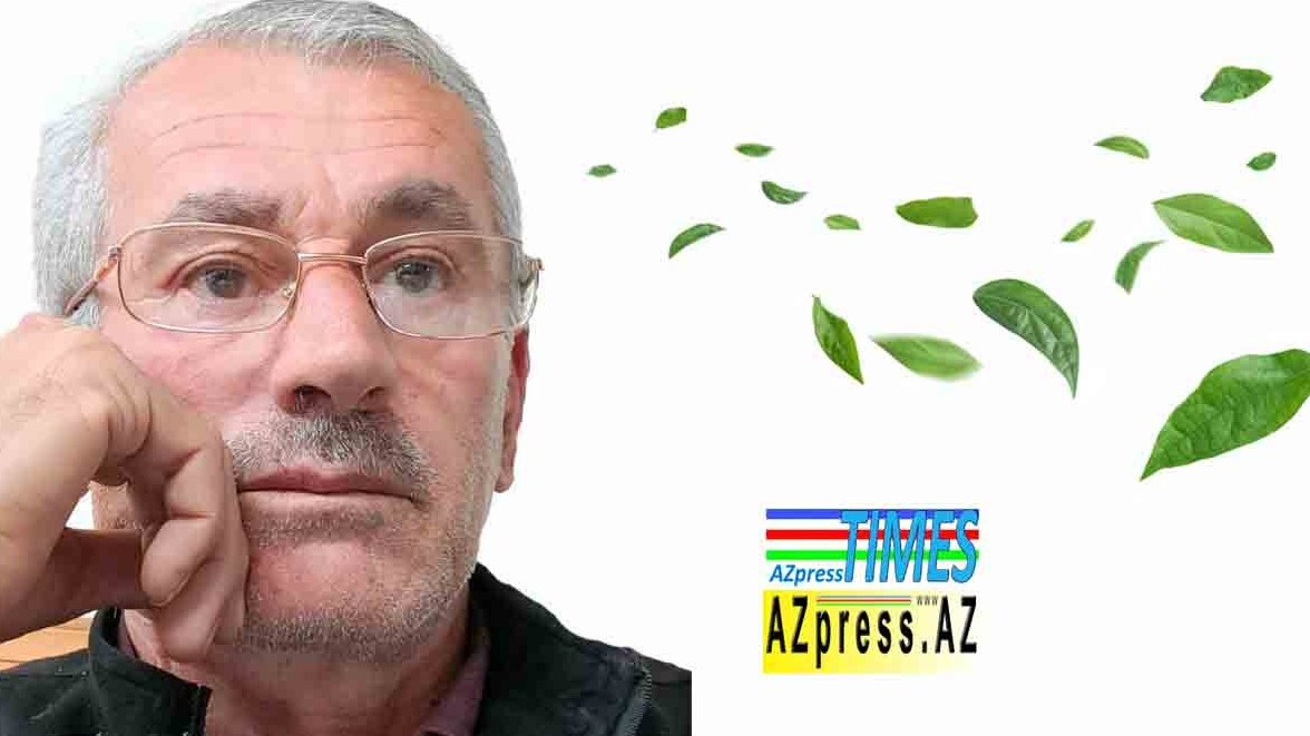 New best parada wave