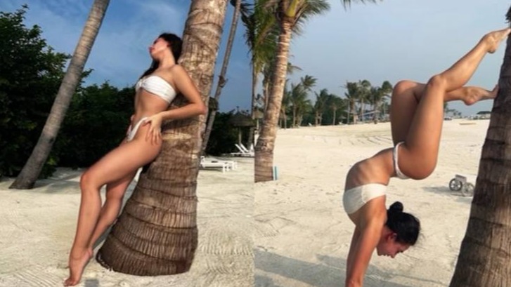 New best parada wave