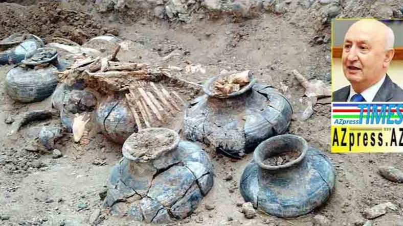 New best parada wave