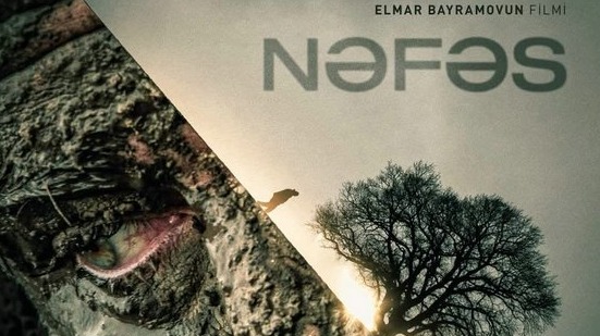 New best parada wave