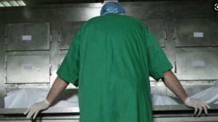 New best parada wave