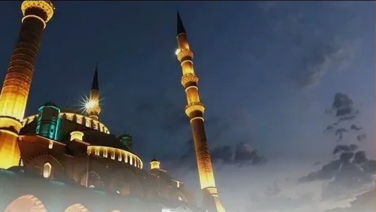 New best parada wave