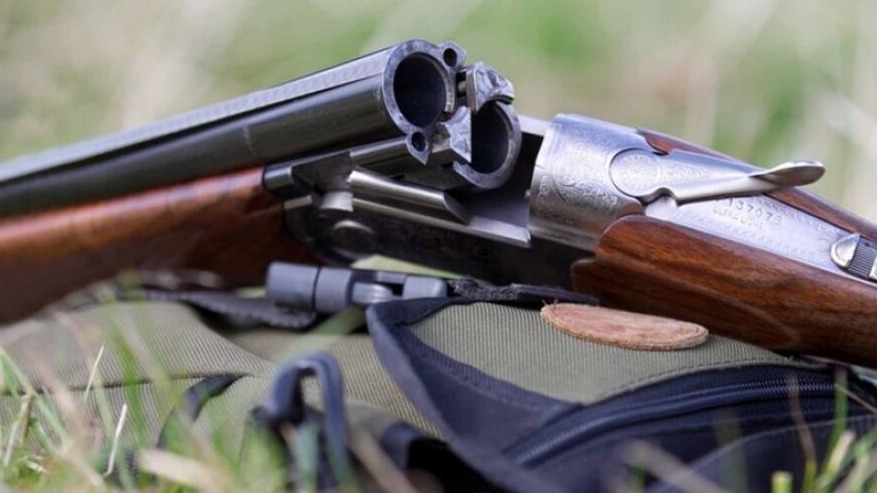 New best parada wave