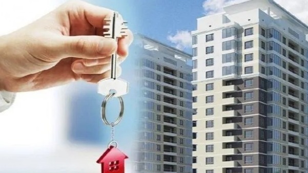 New best parada wave