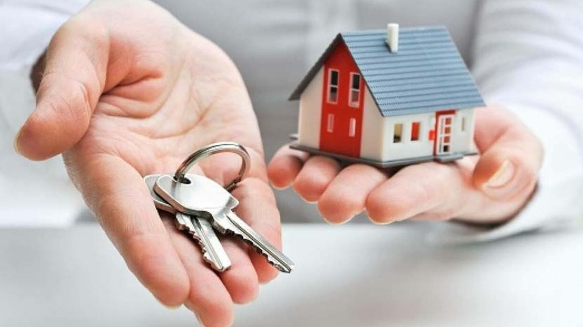 New best parada wave