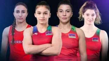 New best parada wave