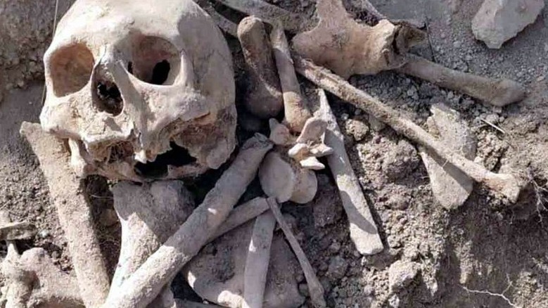 New best parada wave