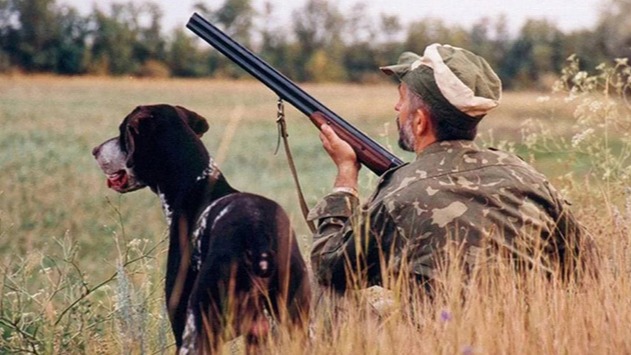 New best parada wave