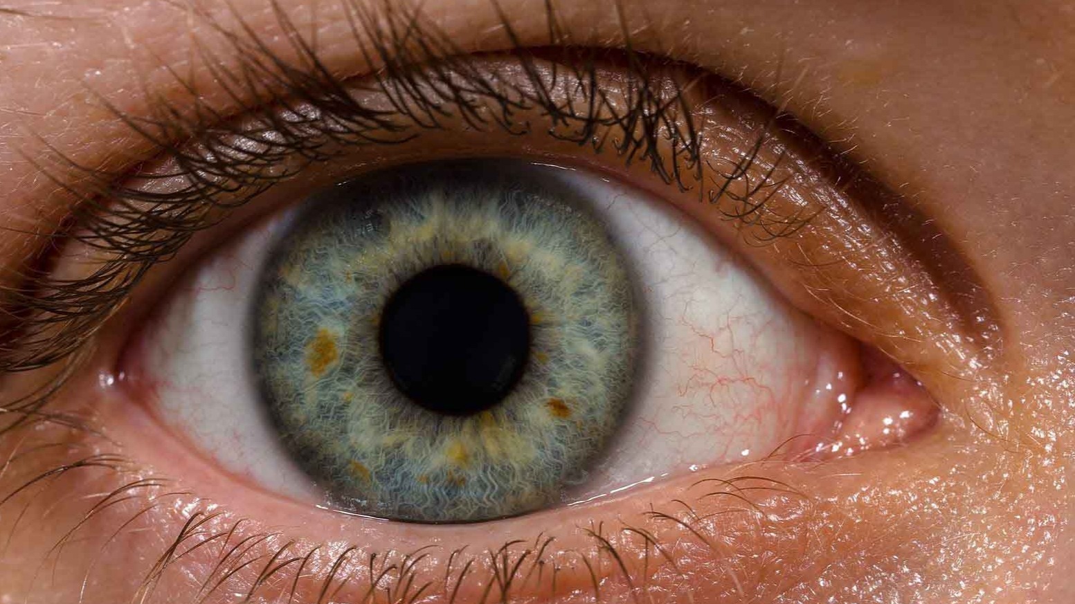 New best parada wave