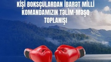 New best parada wave