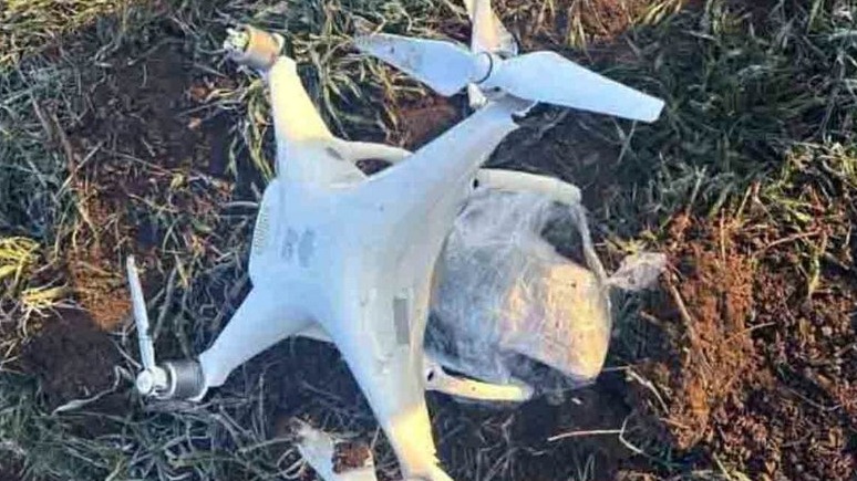 New best parada wave