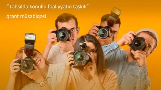 New best parada wave