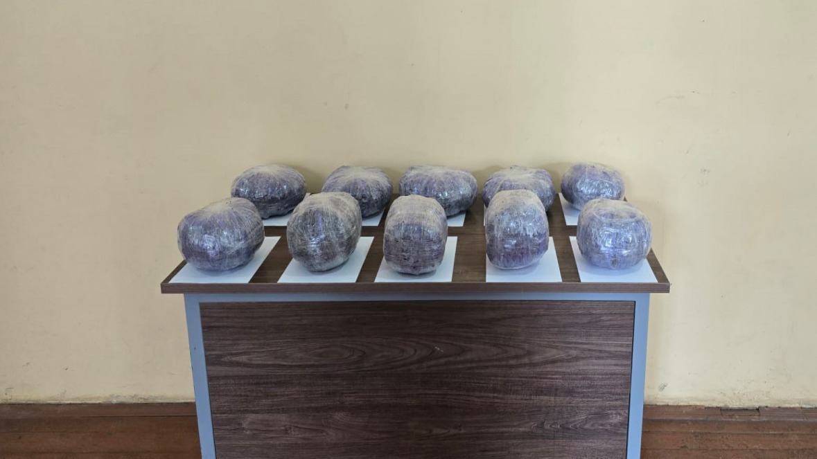 New best parada wave