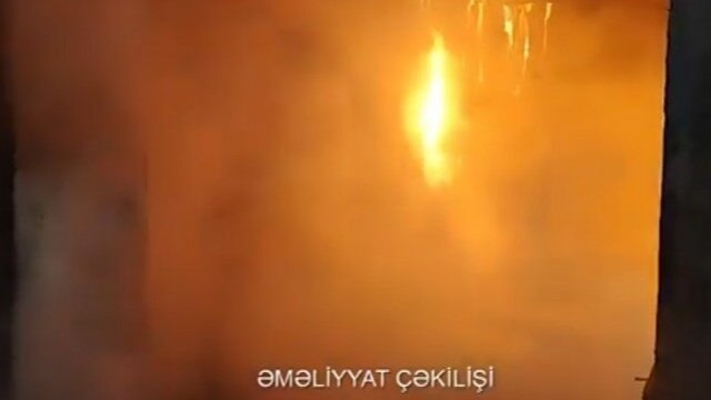 New best parada wave