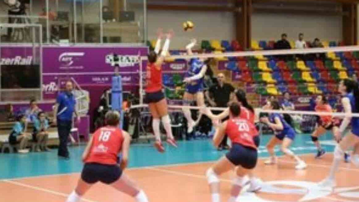 New best parada wave