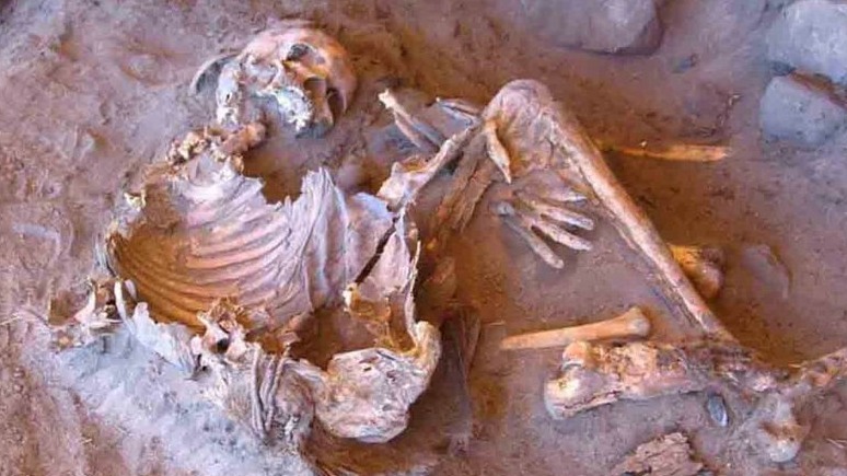 New best parada wave