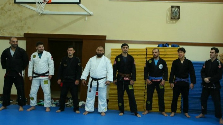 New best parada wave