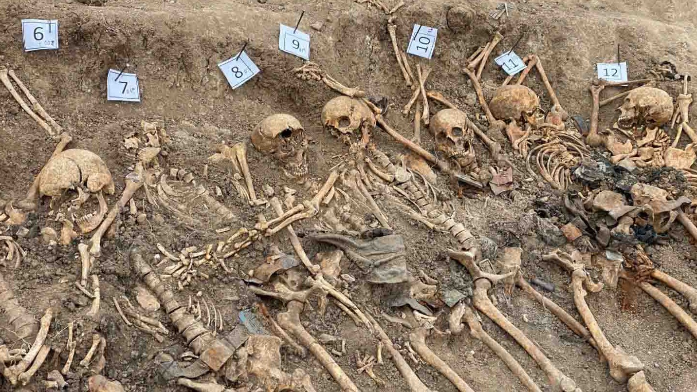 New best parada wave