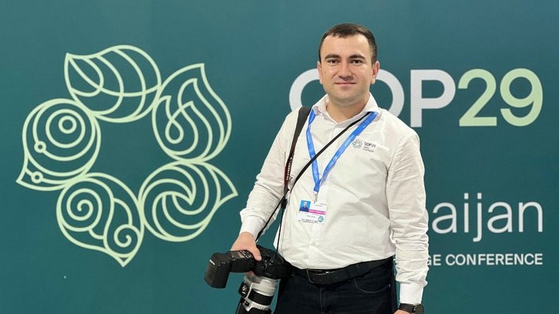 New best parada wave