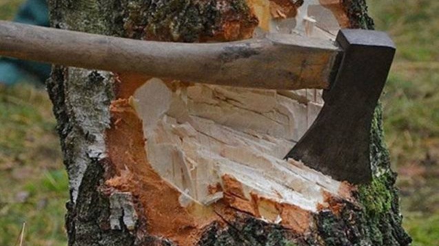 New best parada wave