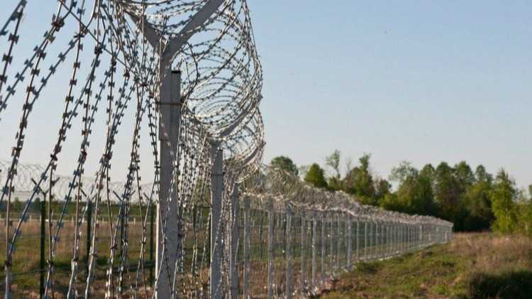 New best parada wave