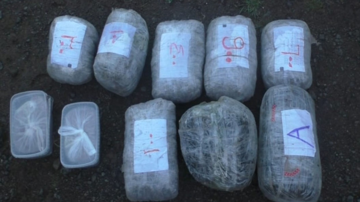 New best parada wave