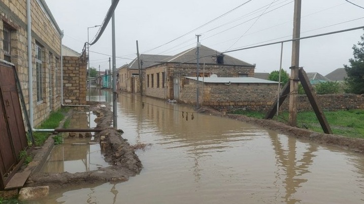 New best parada wave