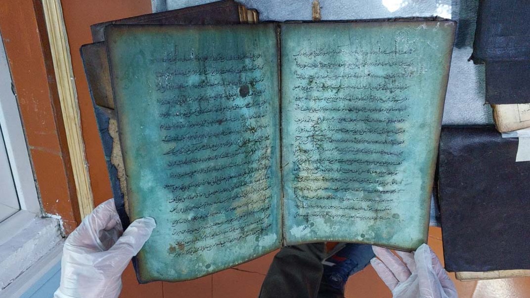 New best parada wave