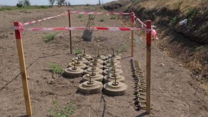 New best parada wave