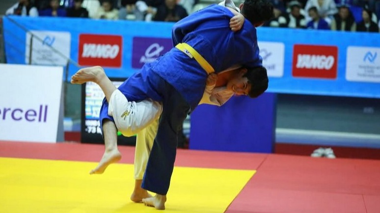 New best parada wave