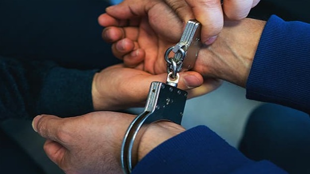 New best parada wave