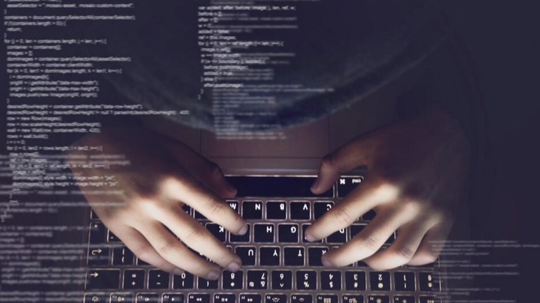 New best parada wave