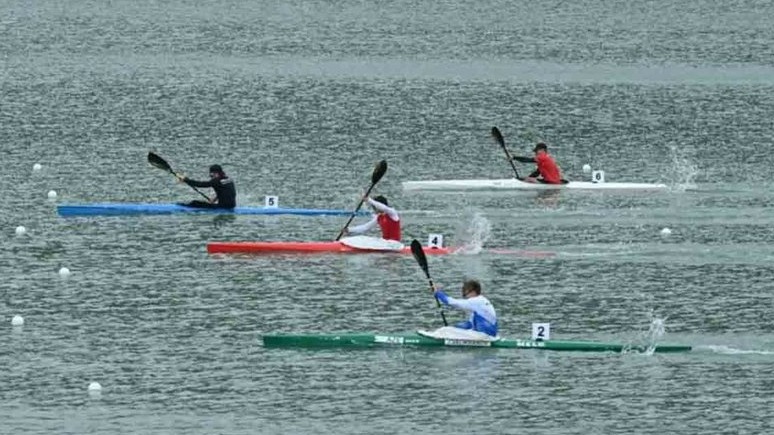 New best parada wave