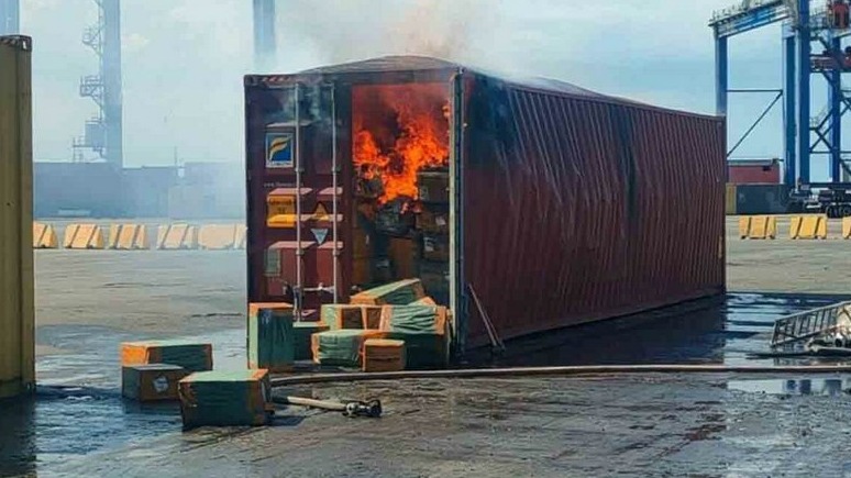 New best parada wave