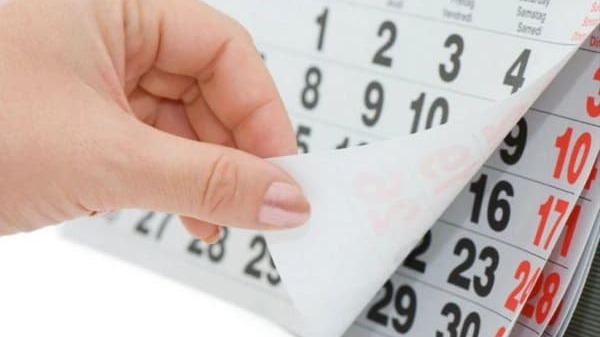 New best parada wave