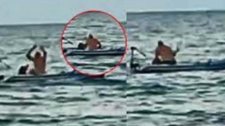 New best parada wave