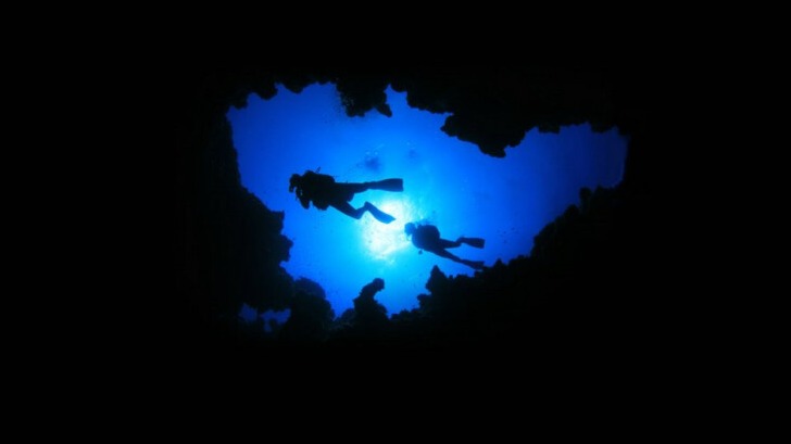 New best parada wave