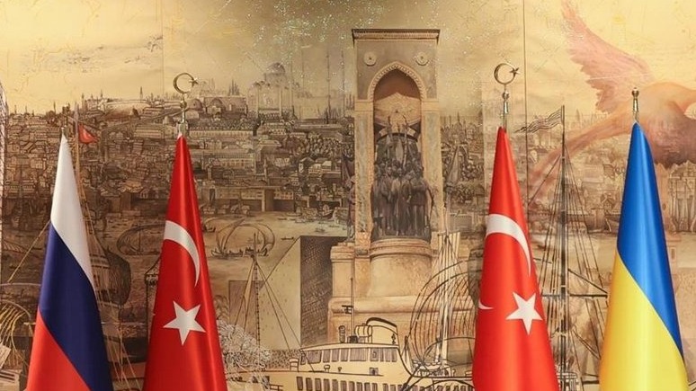 New best parada wave