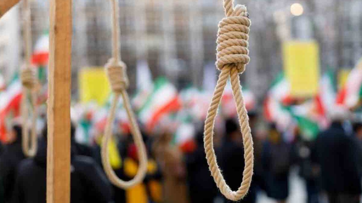 New best parada wave