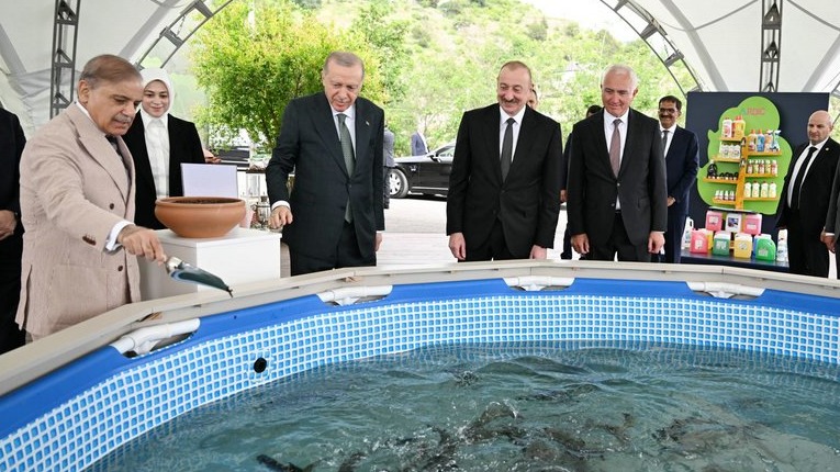 New best parada wave