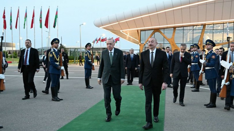 New best parada wave