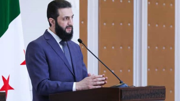 New best parada wave